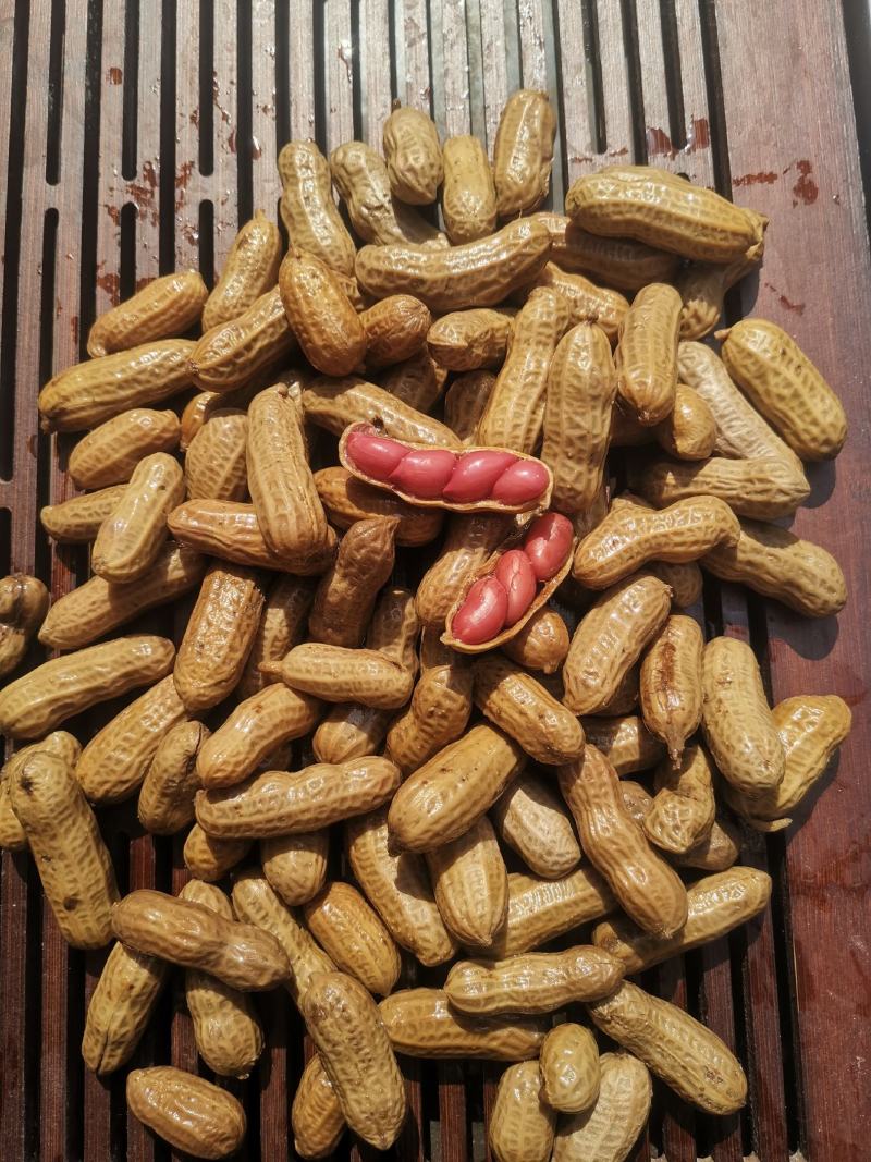 水煮花生带壳卤香味盐水煮花生零食凉菜小吃下酒.