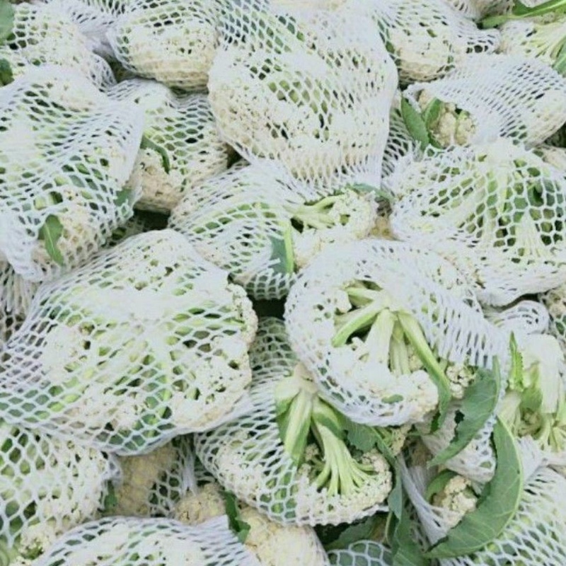 河北精品松花，量大质优，欢迎各位老板随时致电咨询洽谈合作