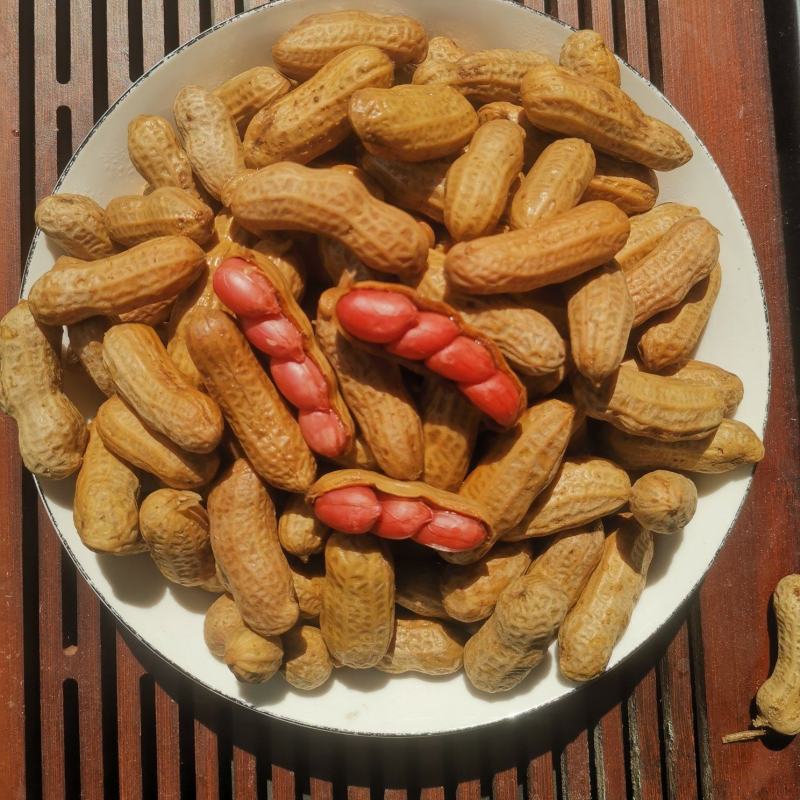 水煮花生带壳卤香味盐水煮花生零食凉菜小吃下酒.