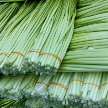 四川蒜苔大量上市了，需要定货的朋友欢迎来人来电！