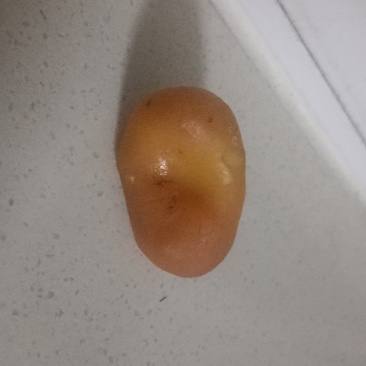 鸡宝，出售，自己家鸡出的