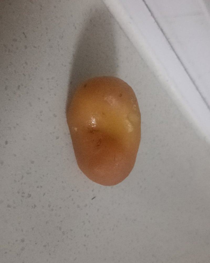 鸡宝，出售，自己家鸡出的
