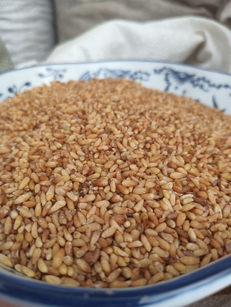 柏子仁柏籽仁天然晒干实物实拍现货供应产地直供