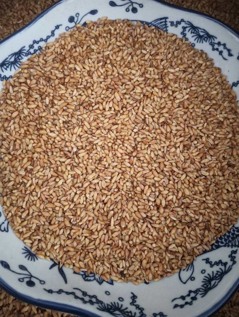柏子仁柏籽仁天然晒干实物实拍现货供应产地直供