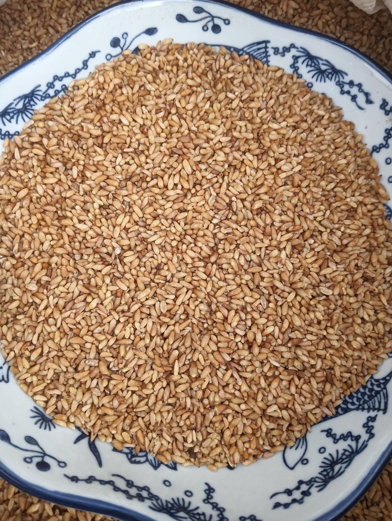 柏子仁柏籽仁天然晒干实物实拍现货供应产地直供