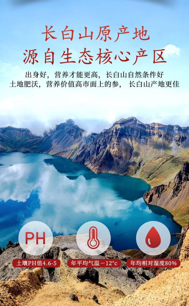 西洋参片产地货源工厂直销西洋参切片花旗参片散装批发零售