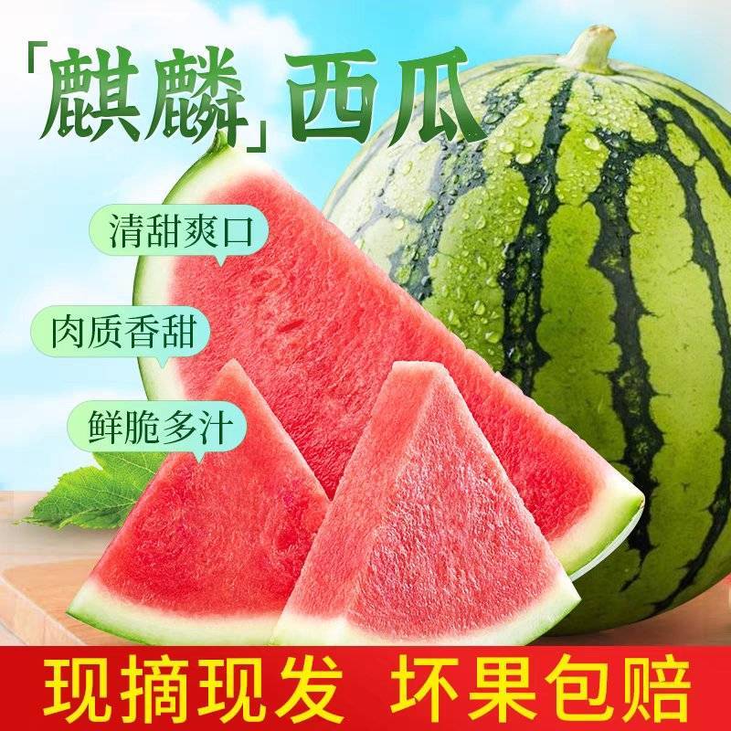 （推荐西瓜）陕西西瓜/美都西瓜/麒麟西瓜/供应电商市场