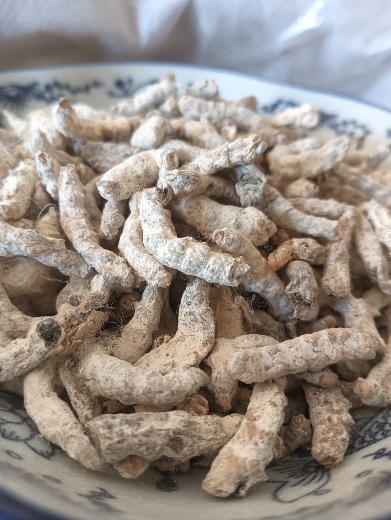 白僵蚕僵蚕个头饱满玻璃茬实物实拍【鲁赣药材批】