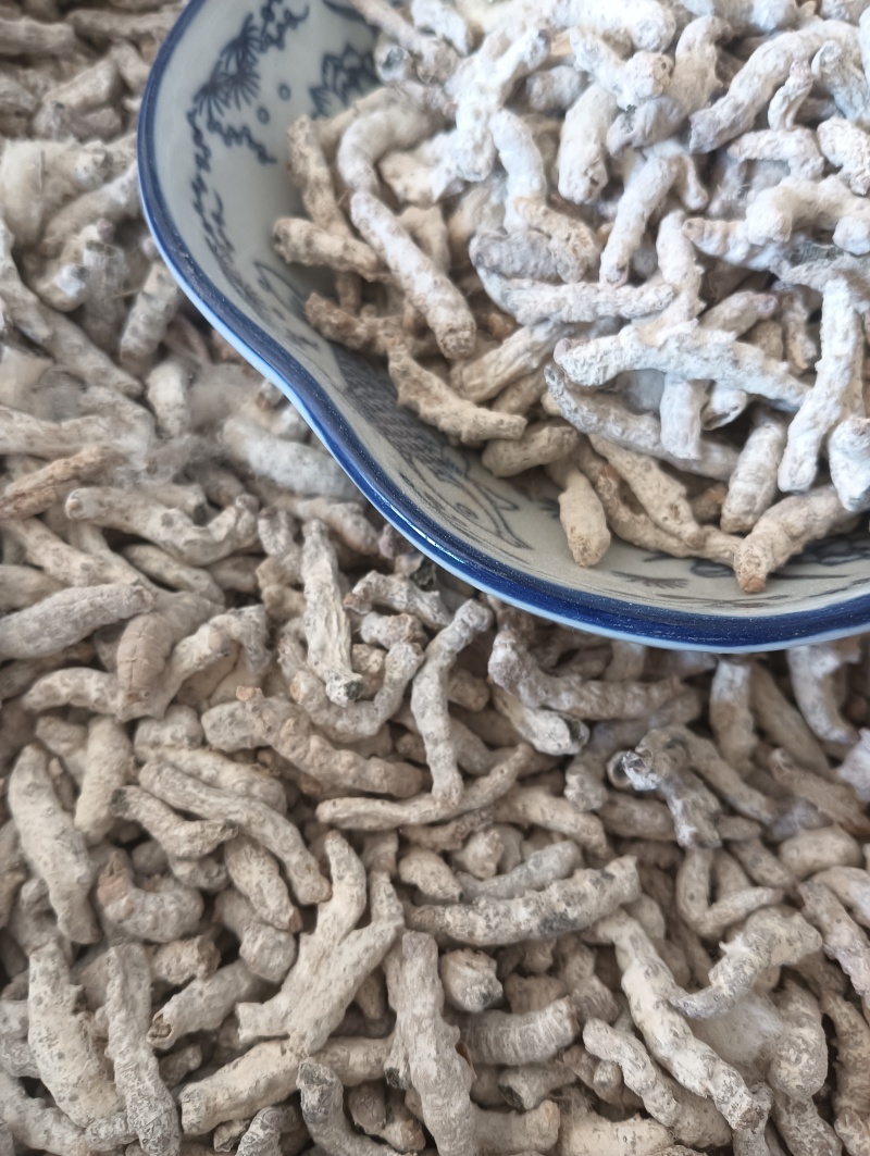 白僵蚕僵蚕个头饱满玻璃茬实物实拍【鲁赣药材批】
