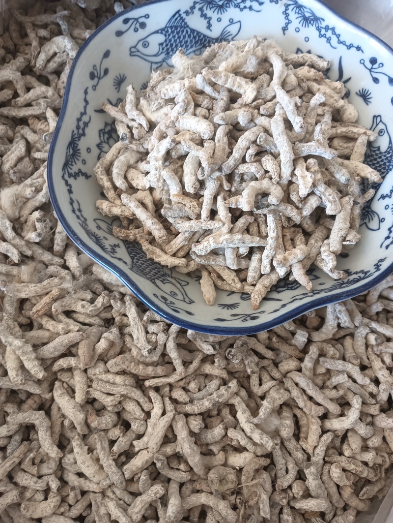 白僵蚕僵蚕个头饱满玻璃茬实物实拍【鲁赣药材批】