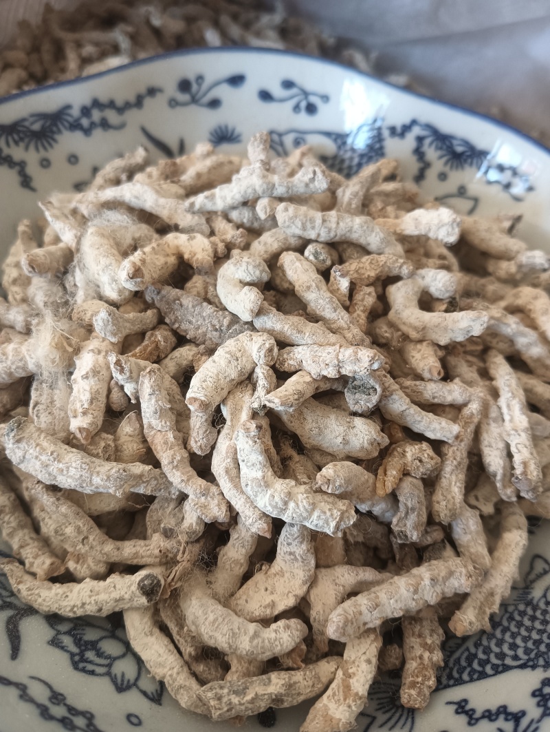 白僵蚕僵蚕个头饱满玻璃茬实物实拍【鲁赣药材批】