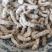 白僵蚕僵蚕个头饱满玻璃茬实物实拍【鲁赣药材批】