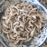 白僵蚕僵蚕个头饱满玻璃茬实物实拍【鲁赣药材批】