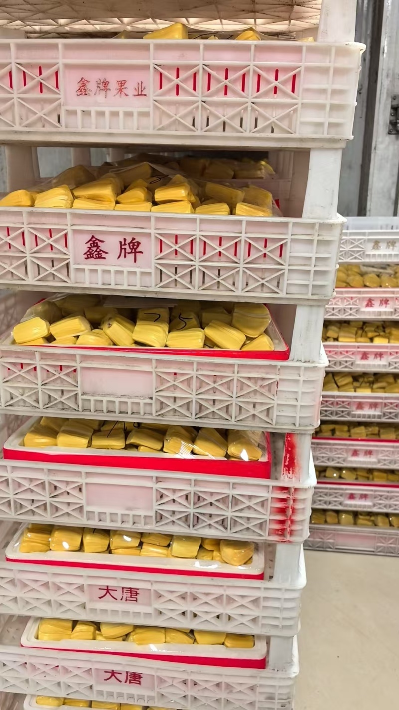越南红肉菠萝蜜果肉，一手货源，品质保证，可对接电商商超等