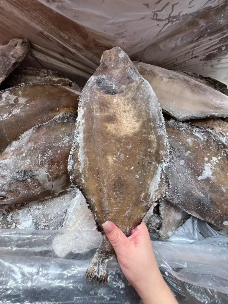 山东威海油鲽鱼（高性价比），肉质细腻，鲜香美味。餐饮摆盘
