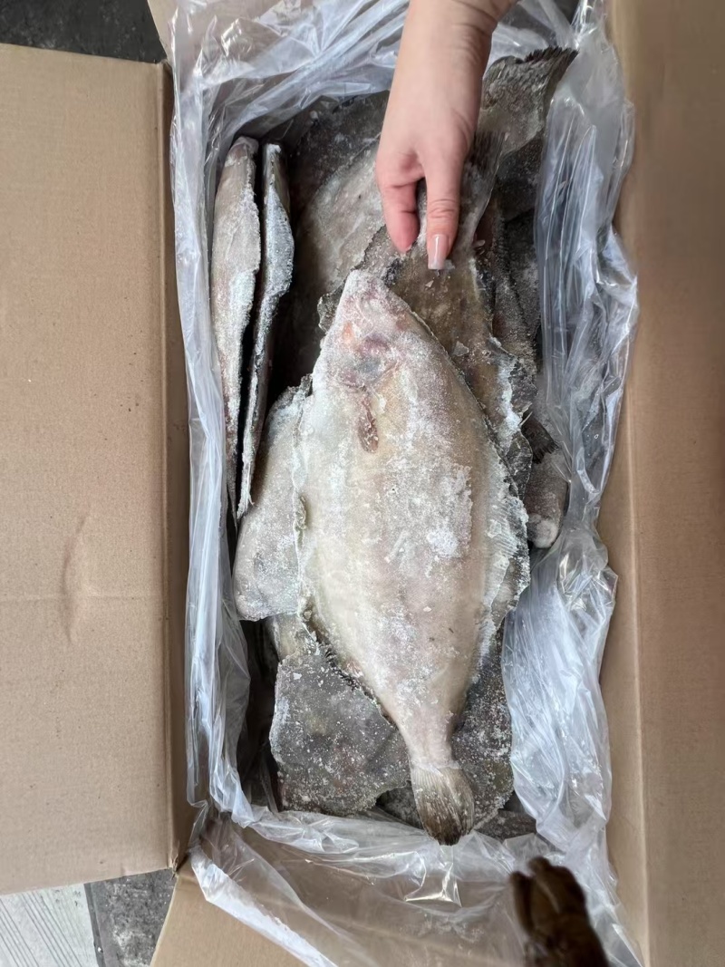 山东威海油鲽鱼（高性价比），肉质细腻，鲜香美味。餐饮摆盘