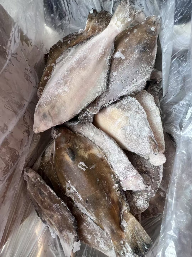山东威海油鲽鱼（高性价比），肉质细腻，鲜香美味。餐饮摆盘