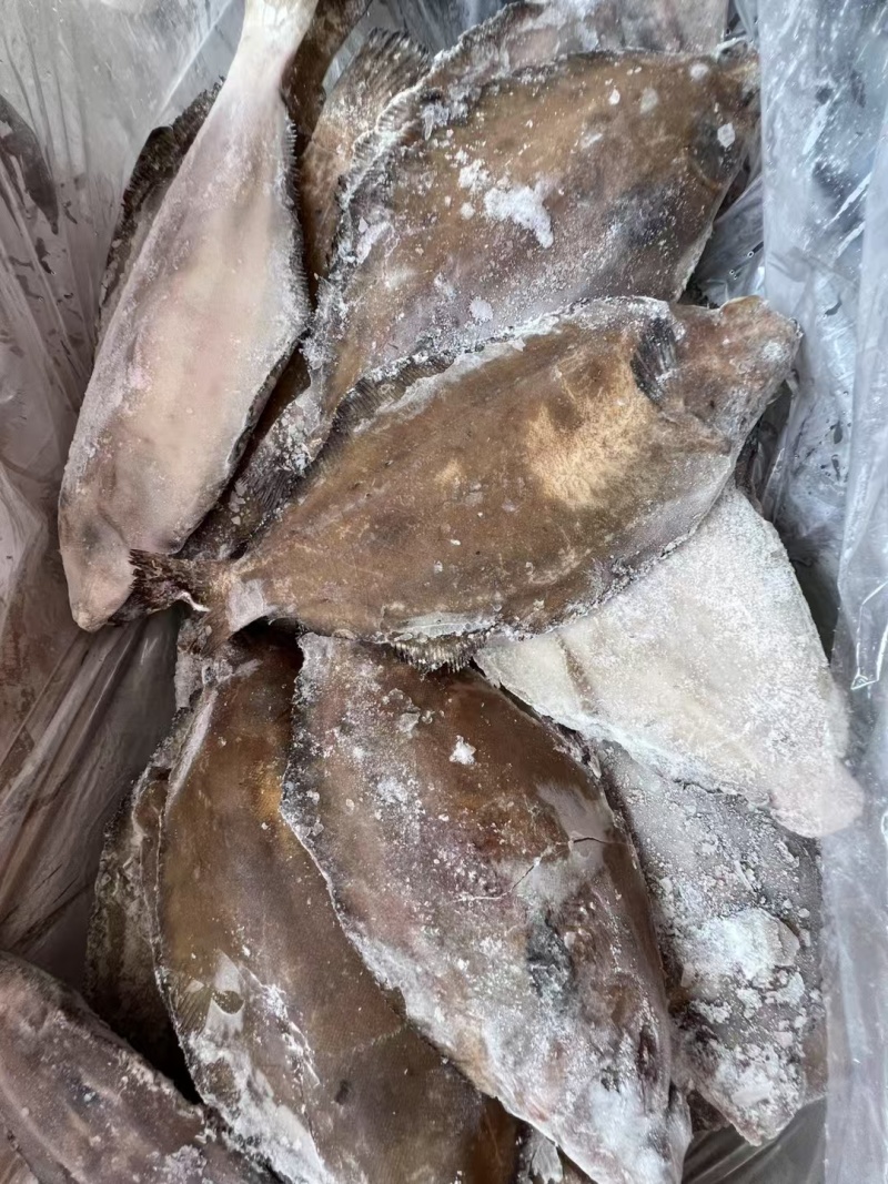 山东威海油鲽鱼（高性价比），肉质细腻，鲜香美味。餐饮摆盘