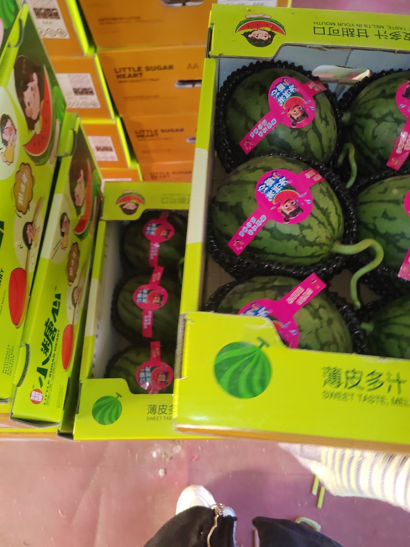 山东潍坊寒亭固堤的小糖丸西瓜，货源充足，对接电商，市场