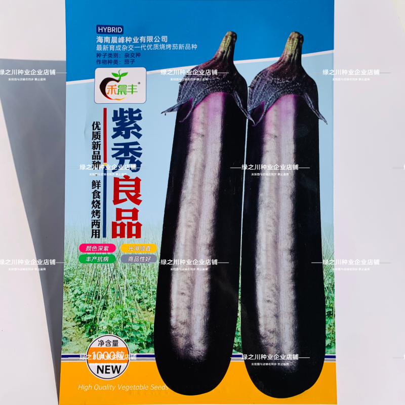 高品质紫红长茄子种子鲜食烧烤两用广茄种子光滑顺直高产茄子
