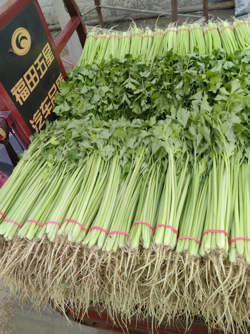 大量上市