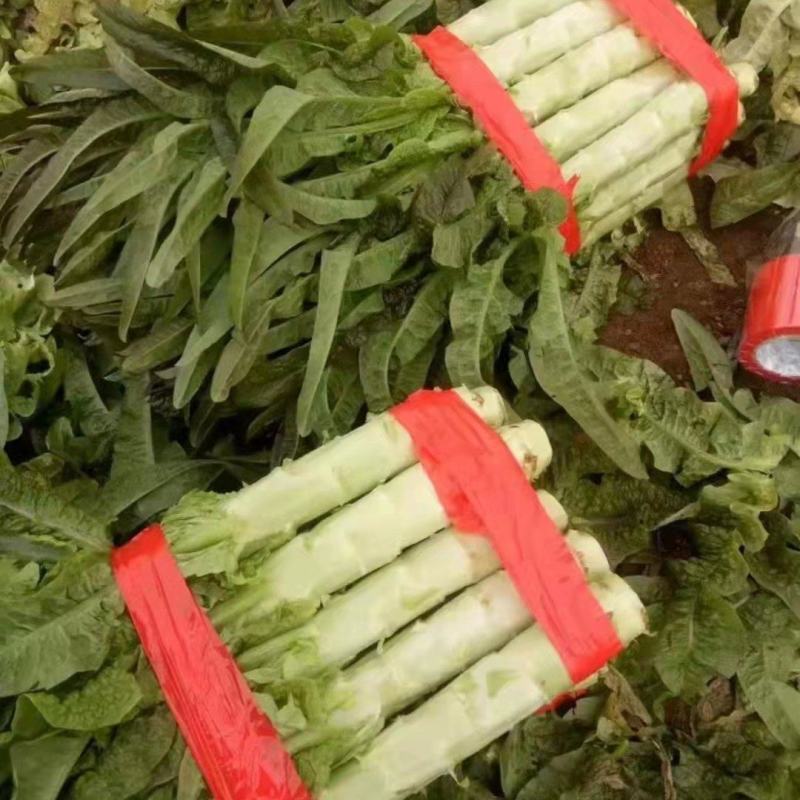 华州红叶昏笋上市，叶好杆的美，可装毛笋，打捆都行，要联系