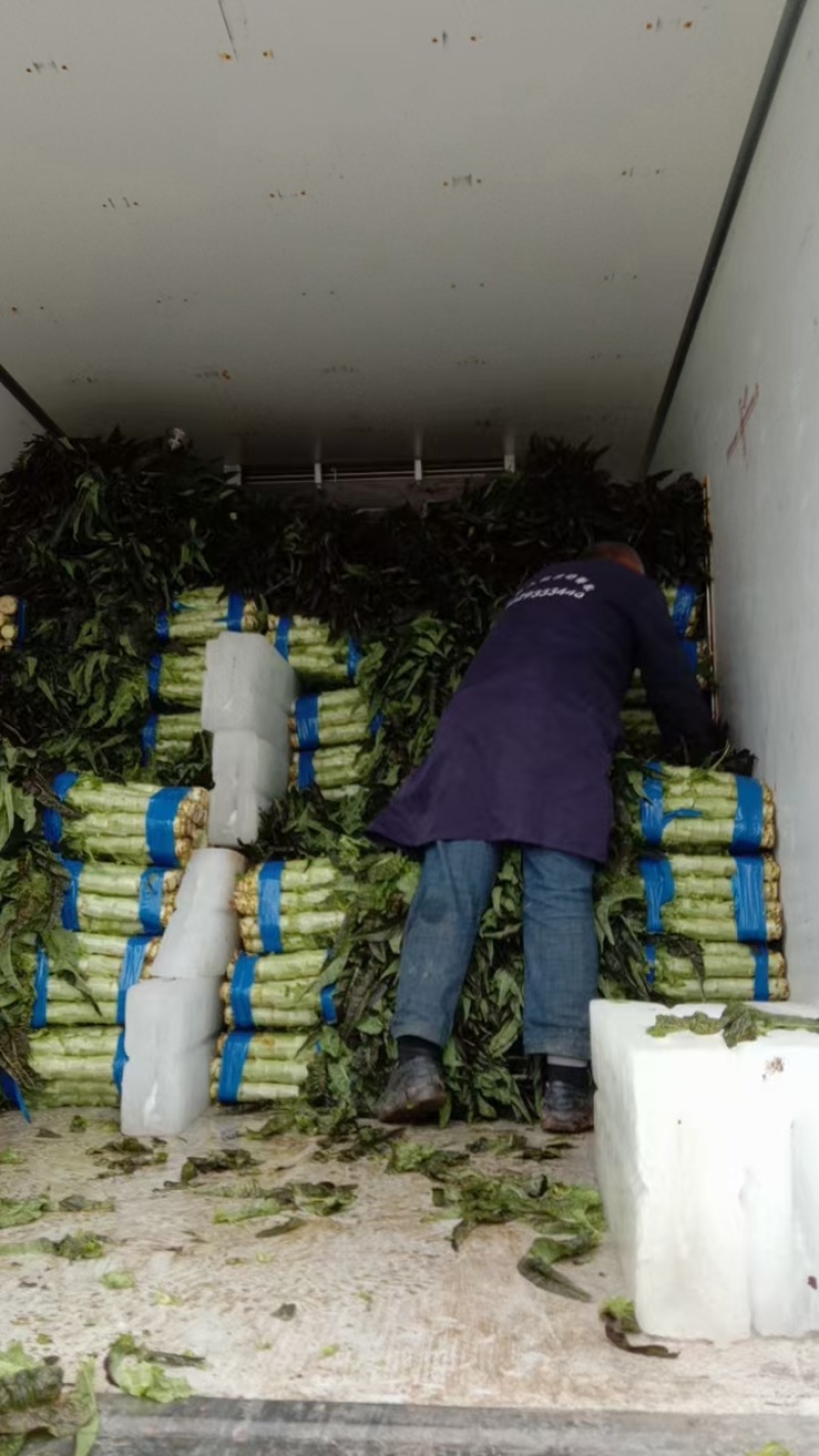 华州红叶昏笋上市，叶好杆的美，可装毛笋，打捆都行，要联系