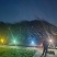 陕西樱花，10—20晚樱各种规格