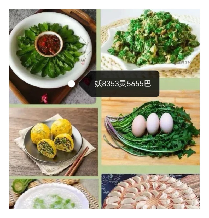 蒲公英鲜菜山东巨野多种规格可定制可批发可电商代发