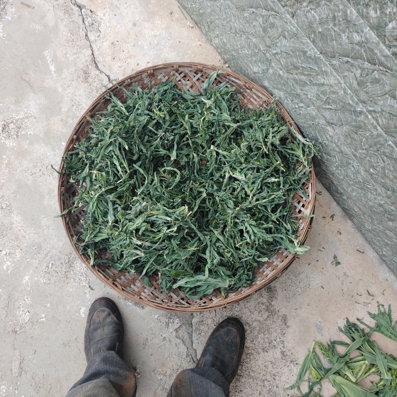 贡菜尖，台菜头，自然凉晒干，产地直发，