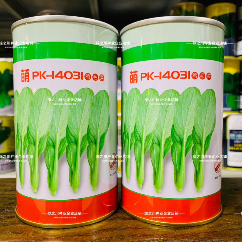 微萌耐热鸡毛菜种子萌PK14031鸡毛菜小青菜种子夏季
