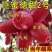 德田二号羊奶果苗纯甜无酸大果带土带叶发货