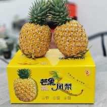 海南芒果凤梨快递一件代发商超市场社区团购