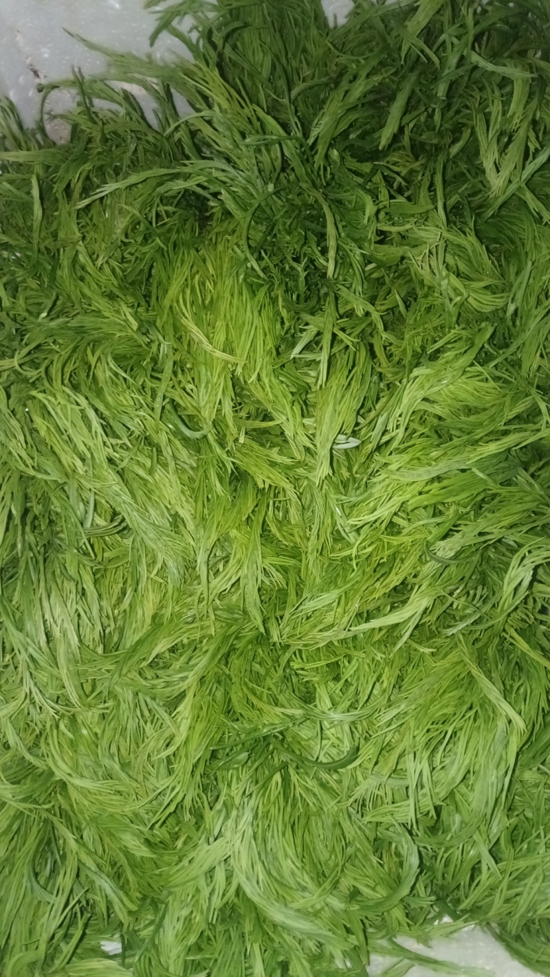臭菜有货