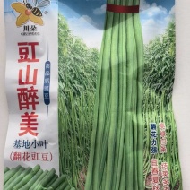 豇豆种子豇山醉美亮绿白条长豇豆厚肉多荚翻花快春夏秋植
