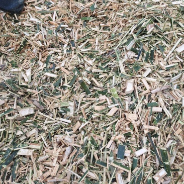 楠竹片