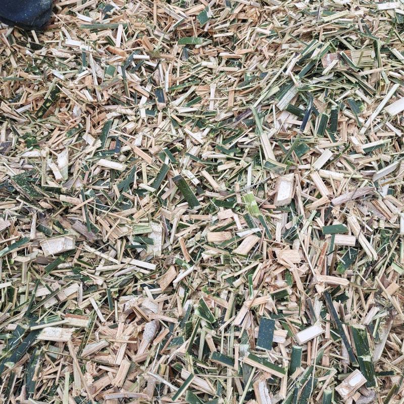 楠竹片