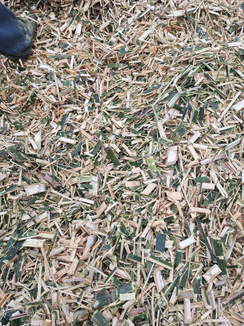 楠竹片