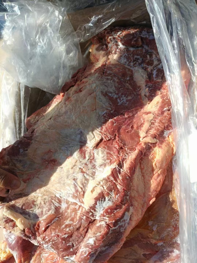 【牛胸口肉】当地草原黄牛的胸口肉，干货没水分！肉质鲜美！