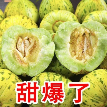 八里香，花蕾花姑娘，花美人，礼品甜瓜商超对接，一件代发