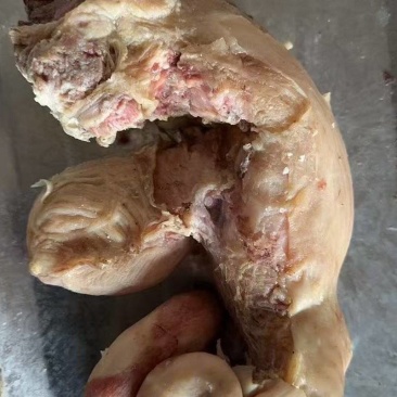 清真《熟牛碗口，牛肠头》八秒入味，口口生香，吃货的福音