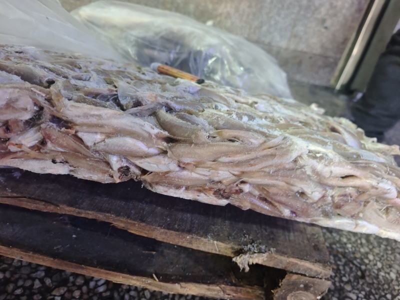 山东威海石岛三去小白鱼罐头原料香酥鱼原料量大价低