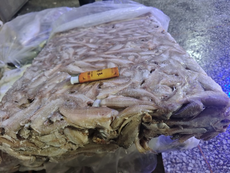 山东威海石岛三去小白鱼罐头原料香酥鱼原料量大价低