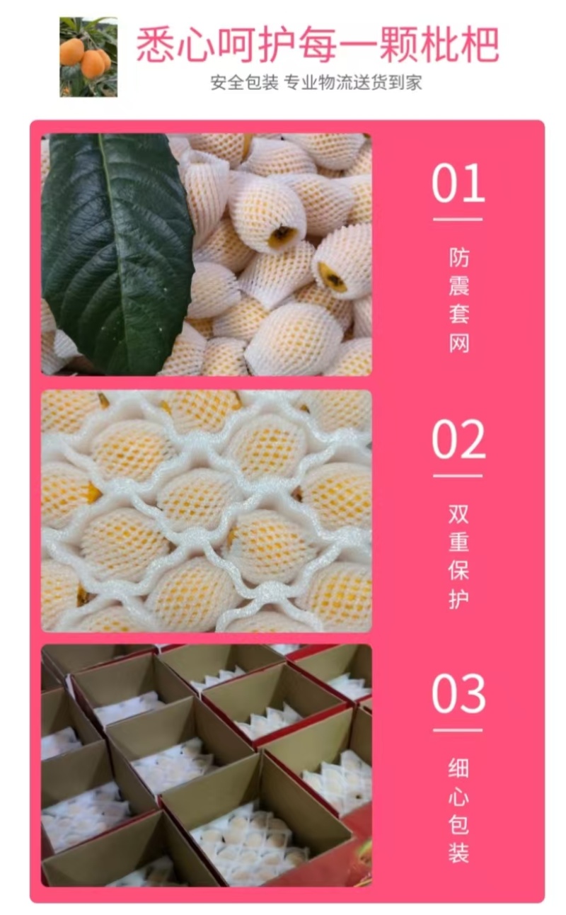 包邮！早钟枇杷便宜卖了，自家果园自产自销、现摘现发