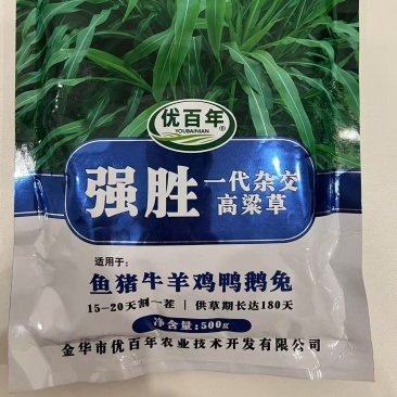 强胜高粱草种子，分蘖多，生长快，富含粗蛋白