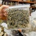 纯野生云南怒江大峡谷紫皮石斛干条，紫皮石斛