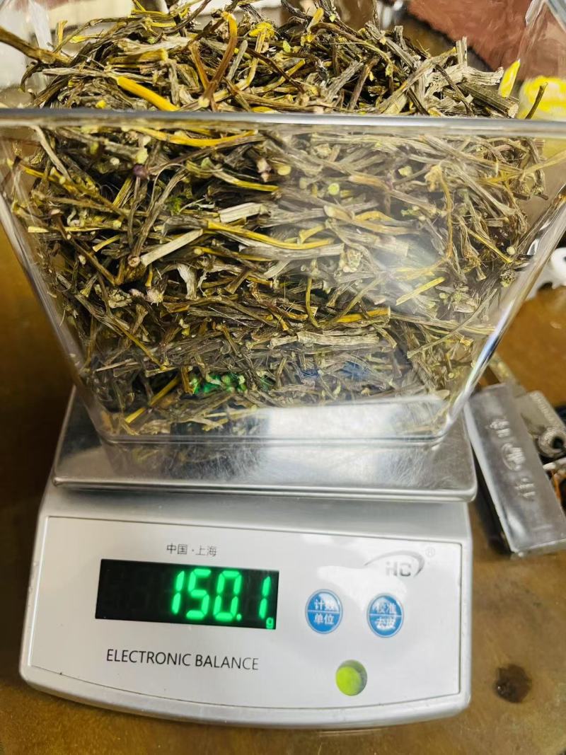 纯野生云南怒江大峡谷紫皮石斛干条，紫皮石斛
