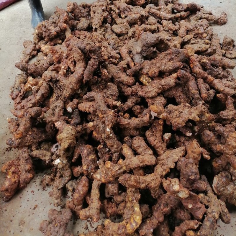 广东新鲜土茯苓本地土茯苓，粉质白肉