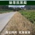 圣鹏润锄10%精草铵膦铵盐非耕地杂草除草剂正品批发老牌子