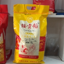 长粒香大米绥贡稻